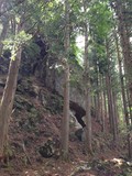 IMG_0315r.jpg