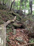 IMG_0328r.jpg