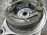 CIMG1317+1.jpg