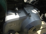 CIMG1382+1.jpg