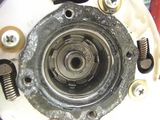 CIMG1391+1.jpg