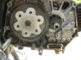 CIMG1394+1.jpg