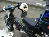 CIMG1573+1.jpg
