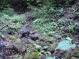 CIMG1588+1.jpg