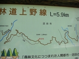 CIMG1617+1.jpg