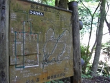 CIMG1627+1.jpg