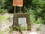 CIMG1632+1.jpg