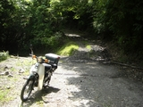 CIMG1633+1.jpg