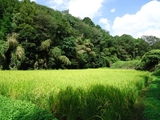 DSC00074r.jpg