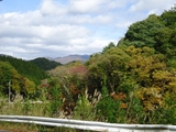 DSC00083r.jpg