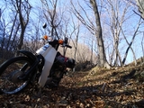 DSC00126r.jpg