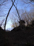 DSC00133r.jpg