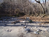 DSC00137r.jpg