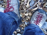 DSC00148r.jpg