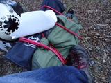 DSC00149r.jpg