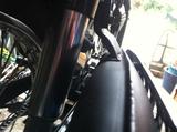 IMG_1729r.jpg