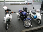 PICT3874.jpg