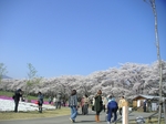PICT6037.jpg